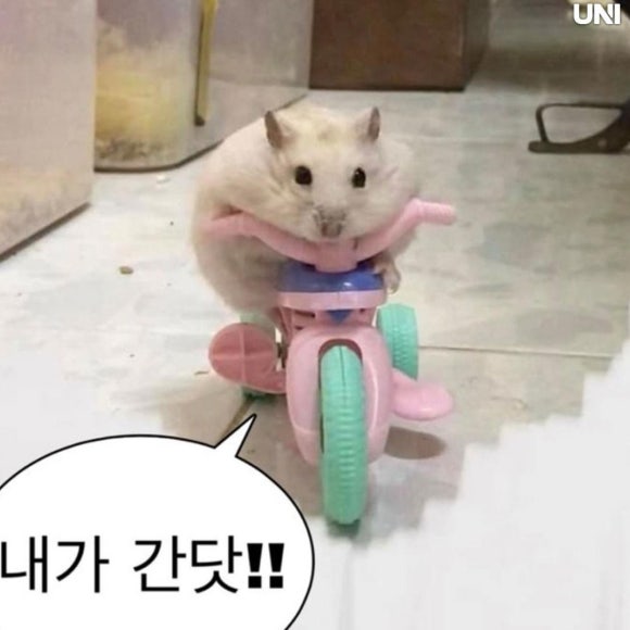 뒤뚱뒤뚱베이비카페 이미지
