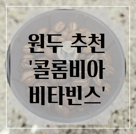 비타빈스 이미지