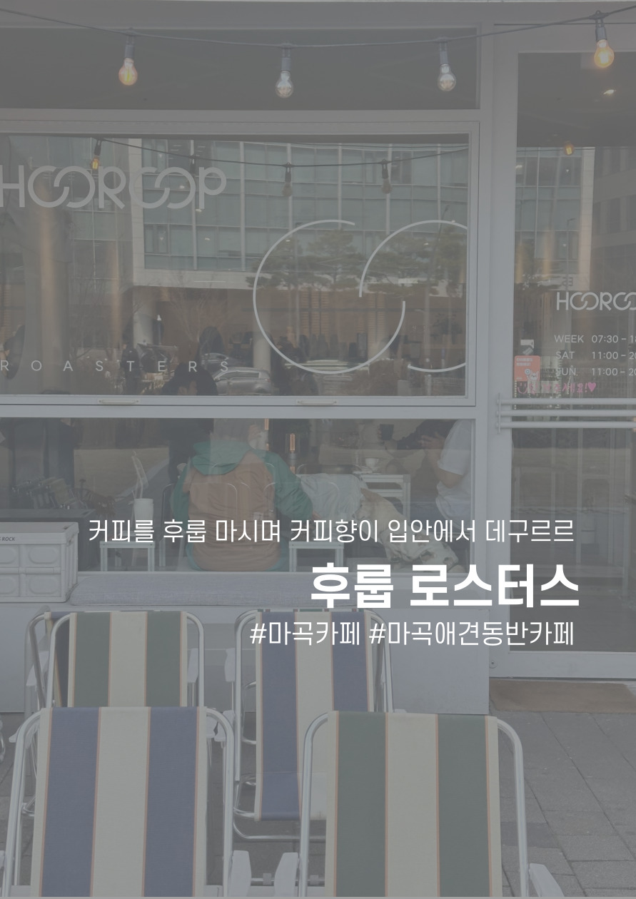 후룹로스터스 이미지