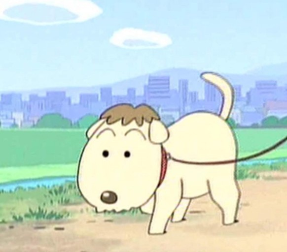 삼일공 이미지