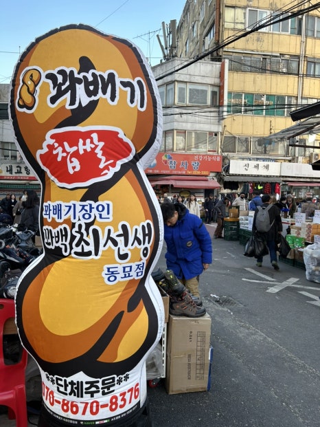 네파종로 이미지