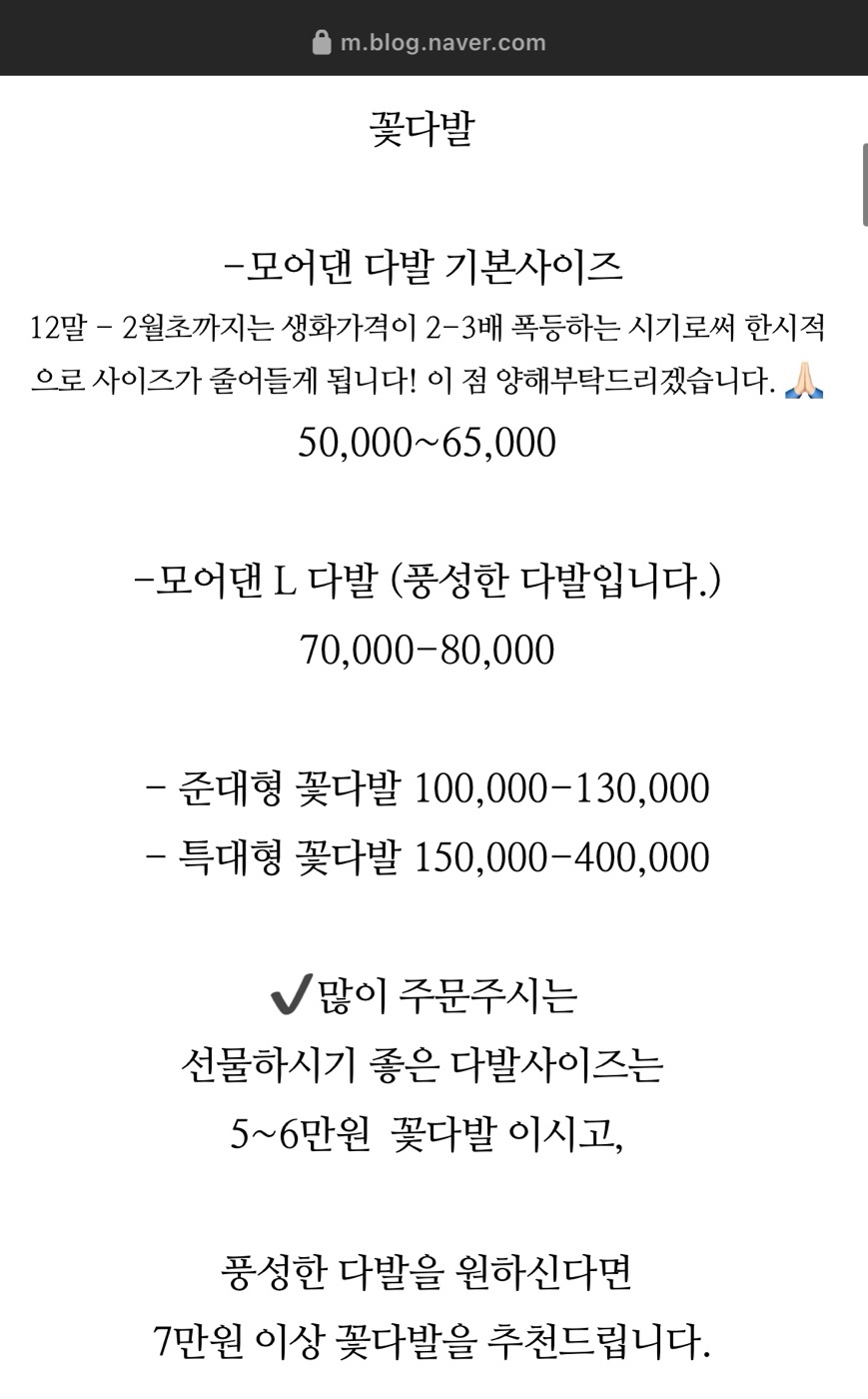 모어댄플라워 이미지