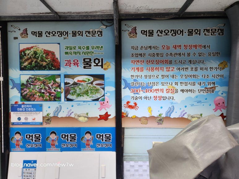 청정산오징어 이미지