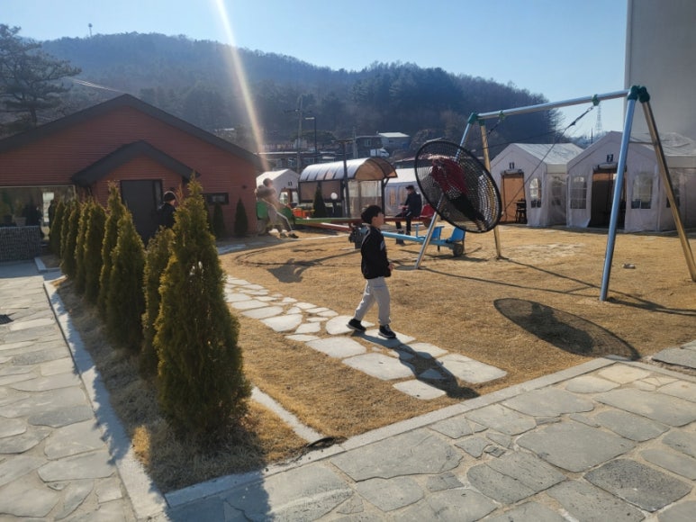와바(Waba) 이미지