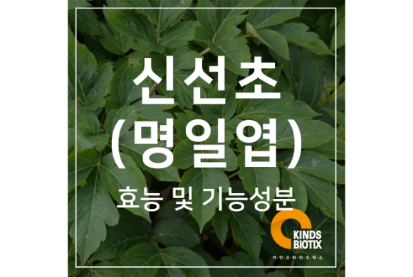 (주)카인즈바이오틱스 이미지
