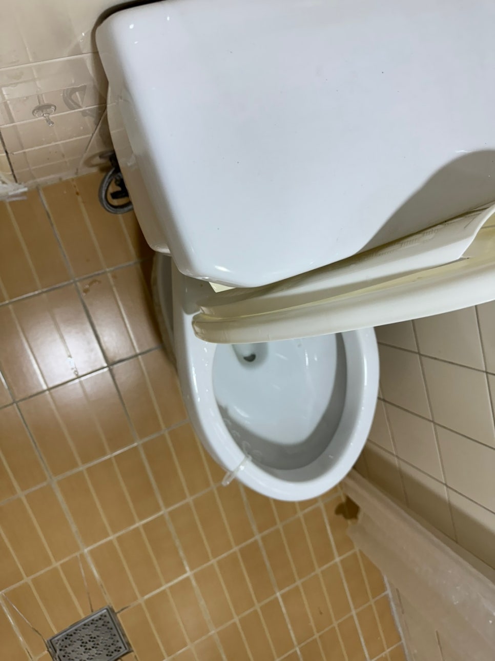 현장 사진