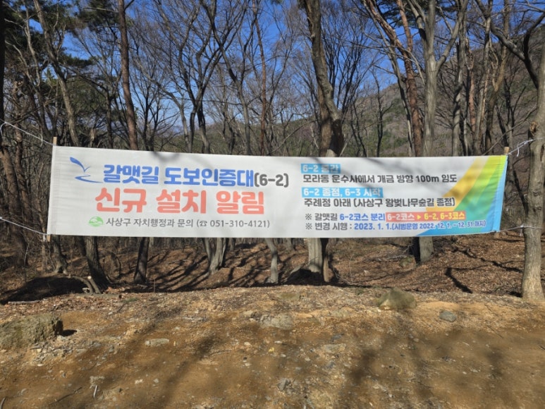 대도백양 이미지
