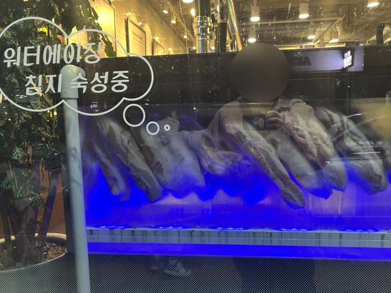 돼지체육관 이미지