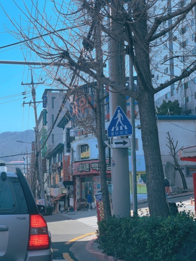 만덕청과 이미지