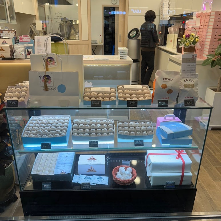 코코호도명지국제 이미지