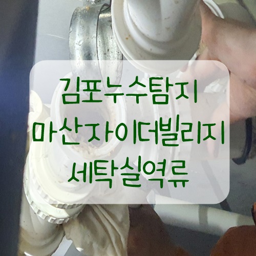 순수더빌리지 이미지