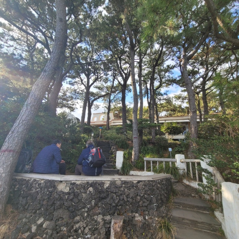허니문담배 이미지