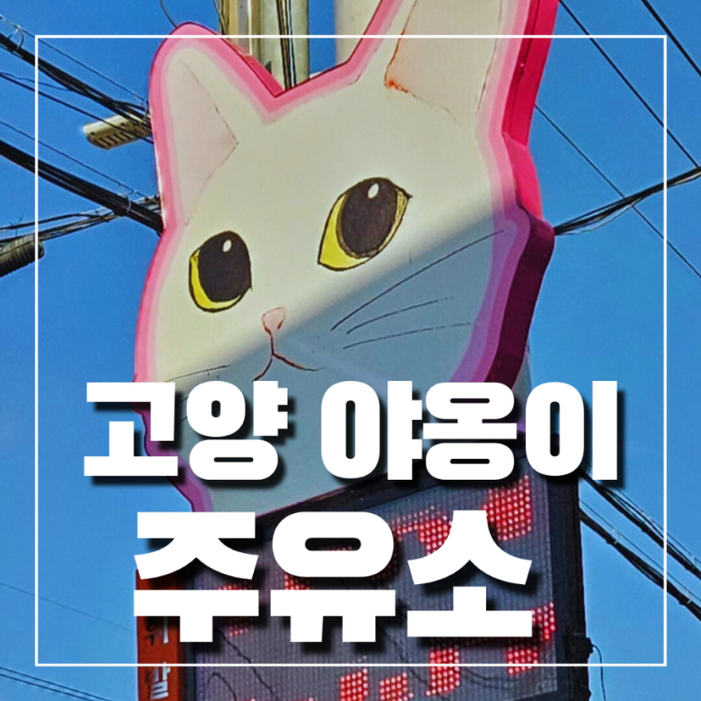 (주)디오티디 이미지