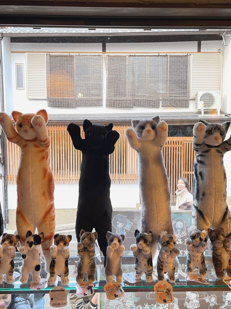 기루 이미지