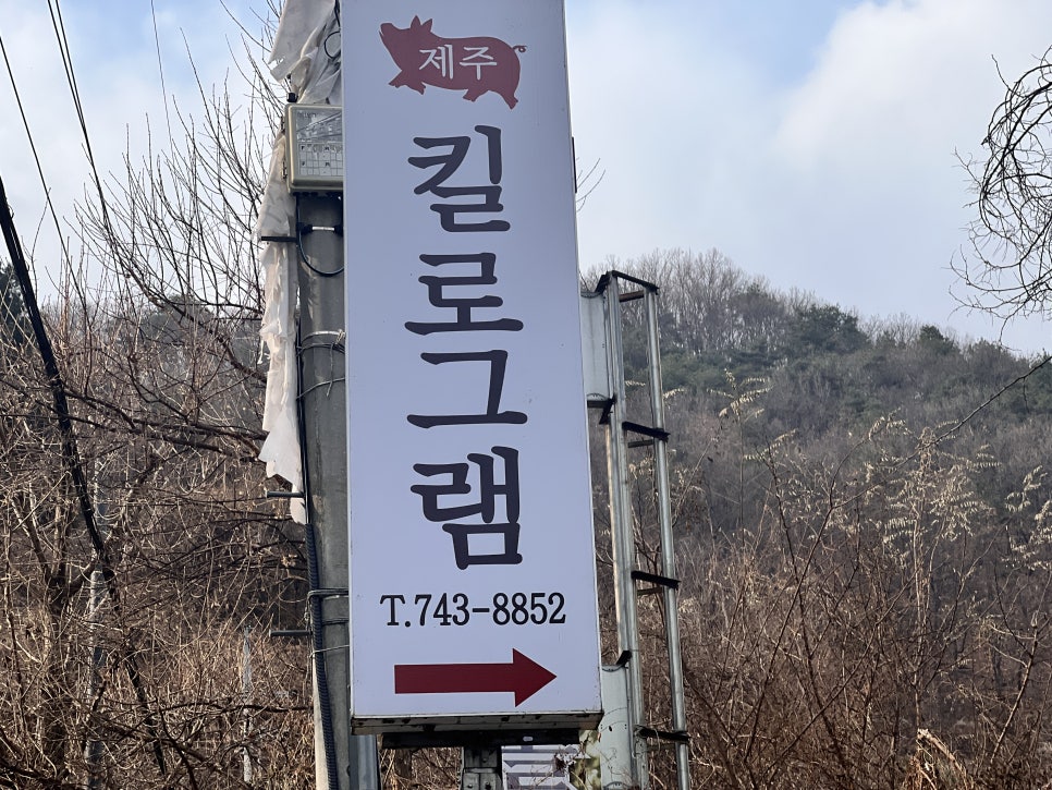 제주좋아라 이미지
