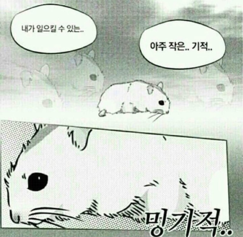 릴라와인 이미지