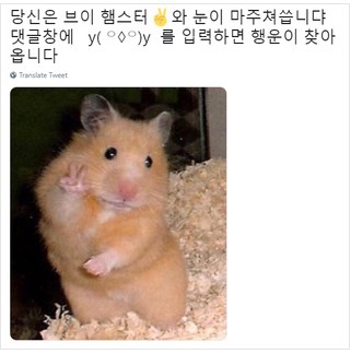 원갈비 이미지