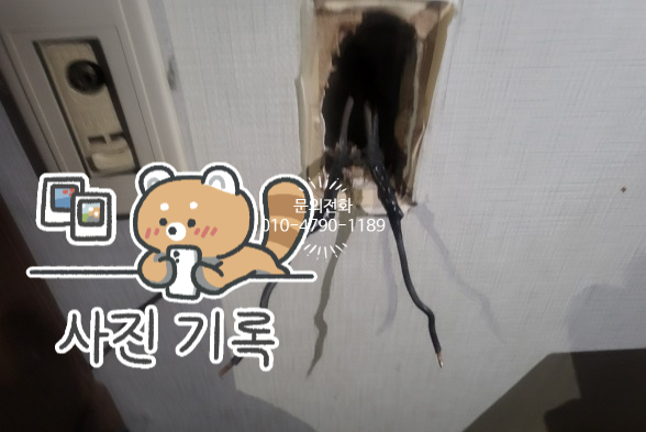 대광전업사 이미지