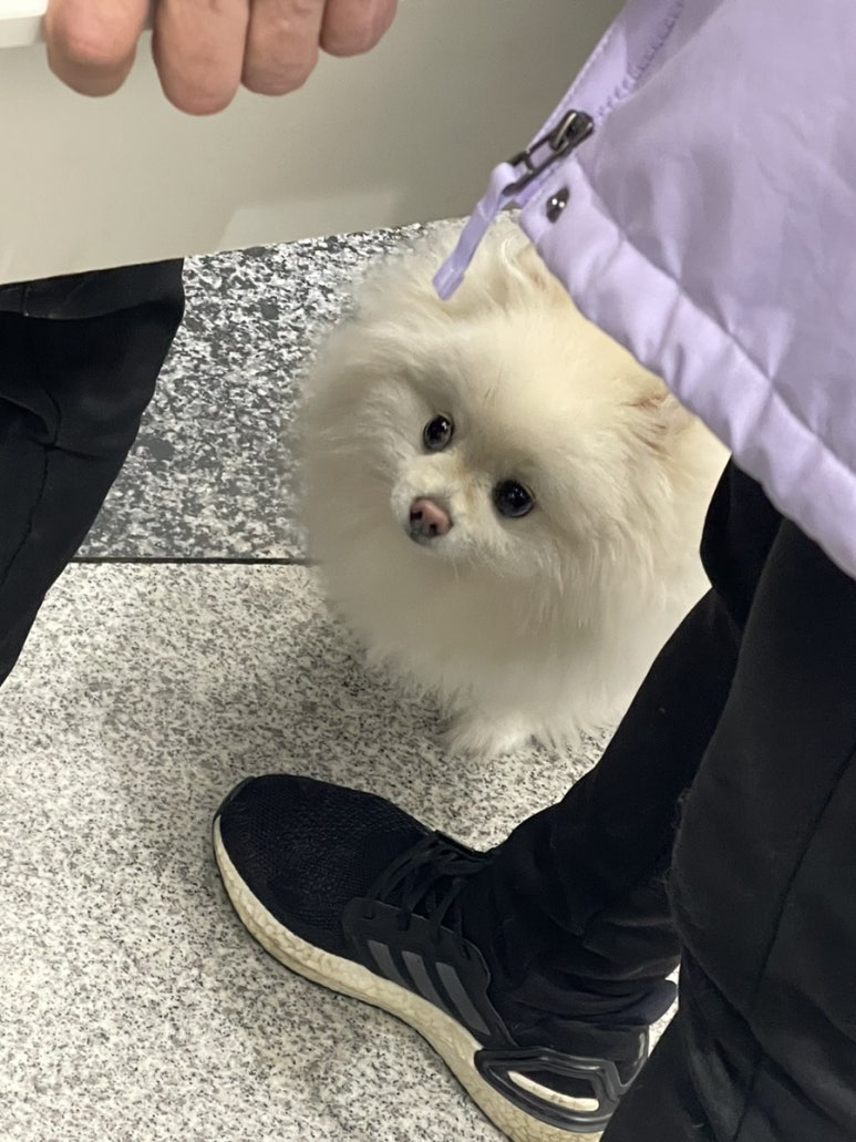 알라보 돈까스 이미지