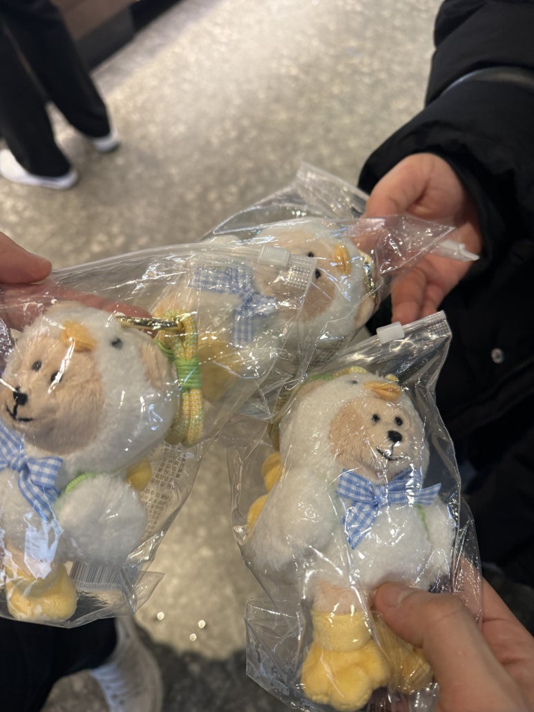 제이쏠라 이미지
