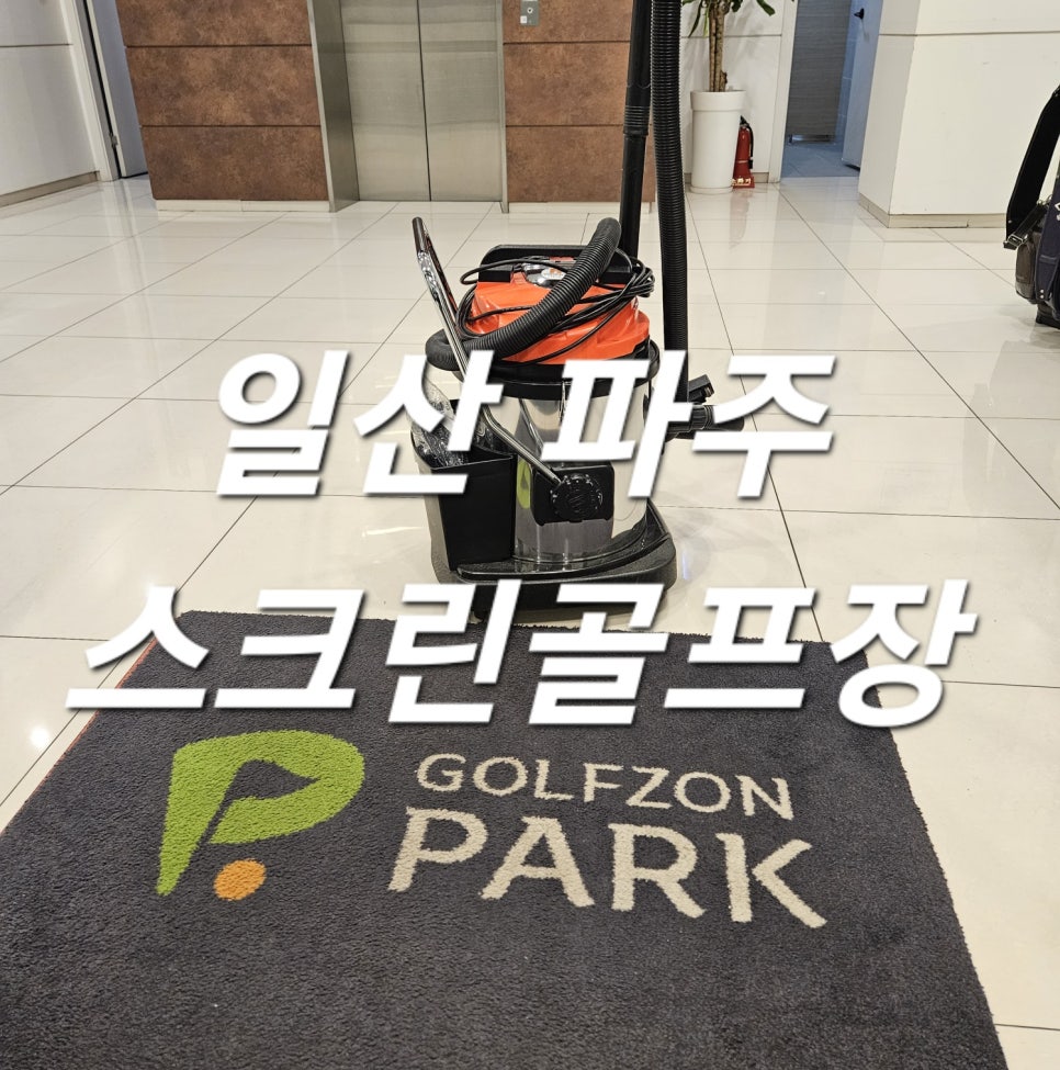 돌핀크린 이미지