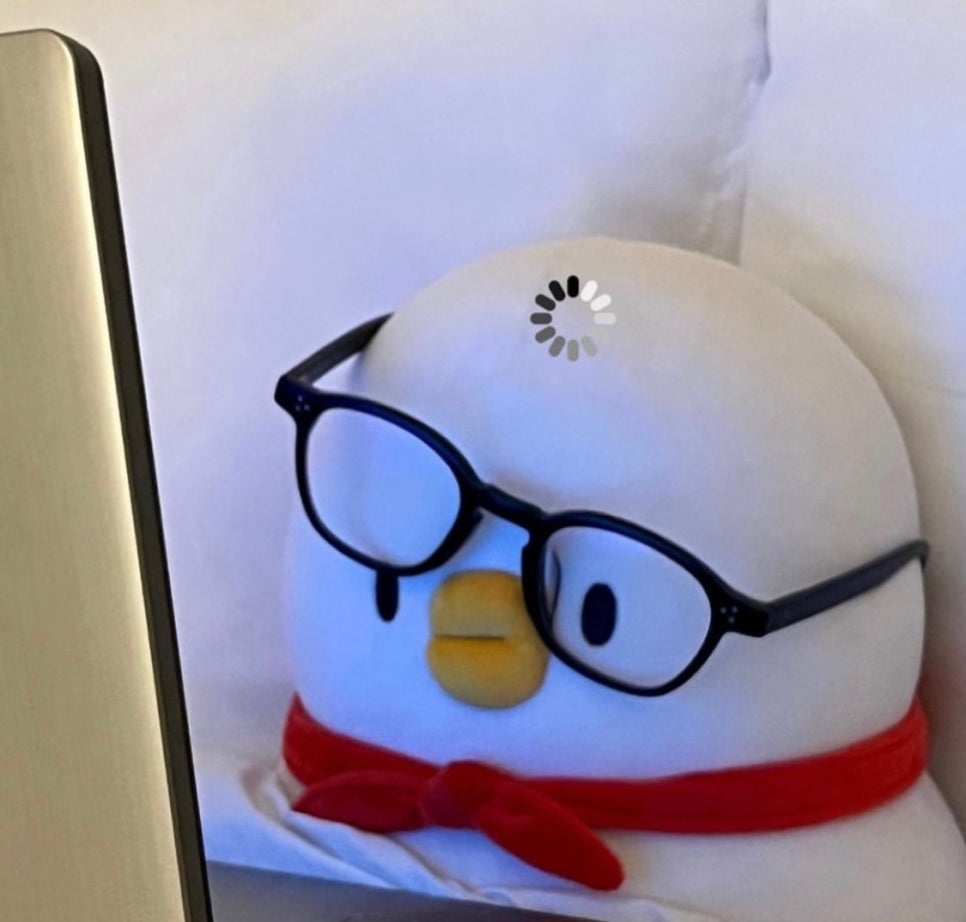 더델리 이미지