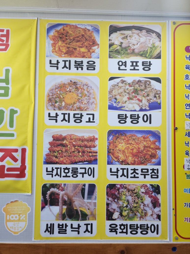 낙지대통령 이미지