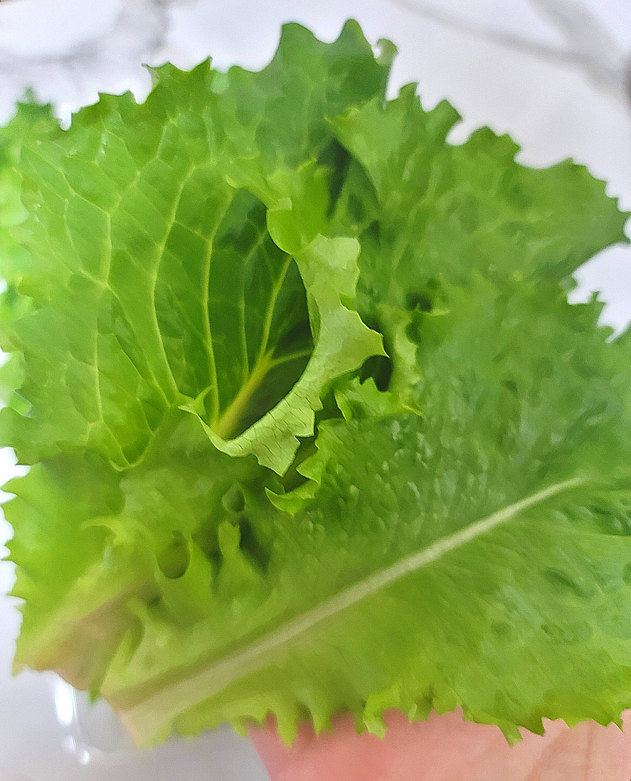 주식회사 참바른 이미지