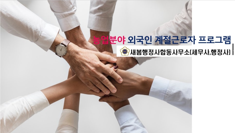 새봄행정사사무소 이미지