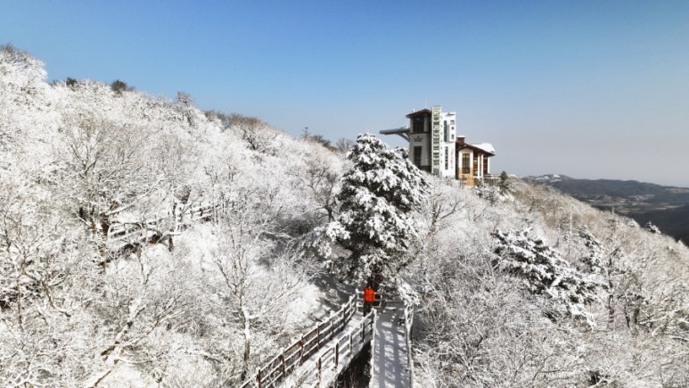 야미탕후루 이미지