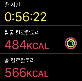 봄골 이미지