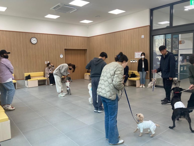 정직한교육 이미지