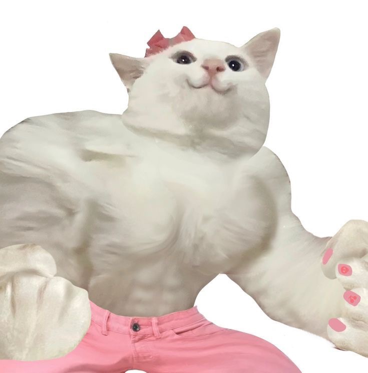 마스터PT운동과학센터 이미지