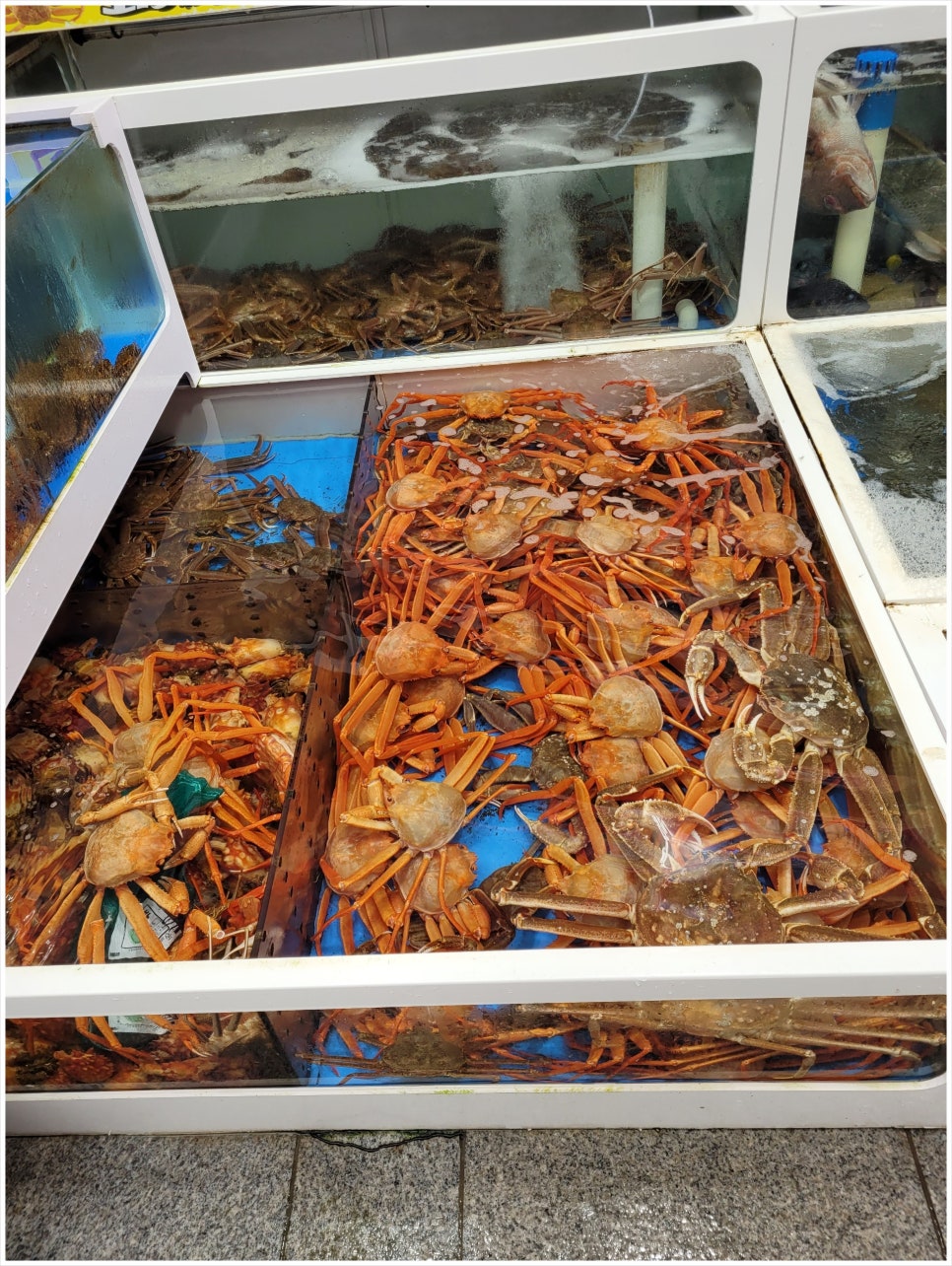 대포수산 이미지