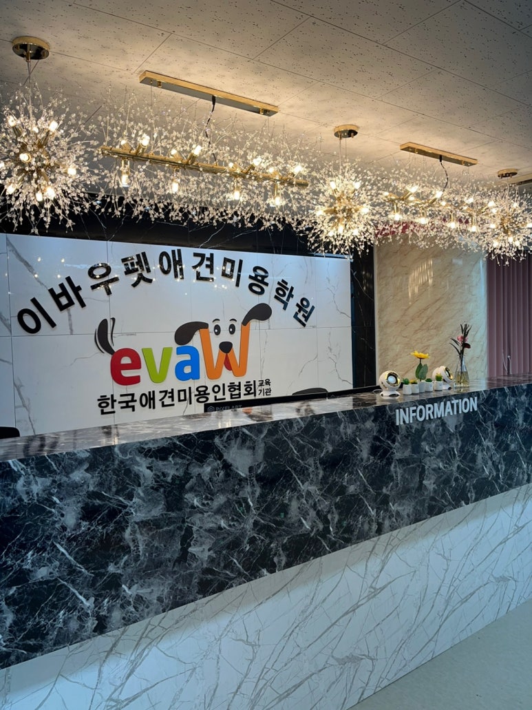 스타미용학원 이미지