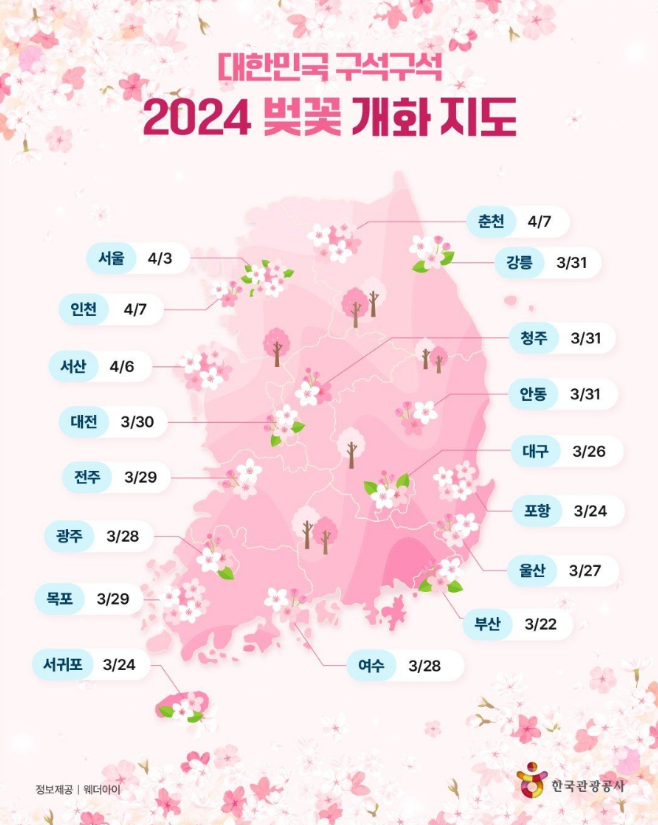 미솜 이미지