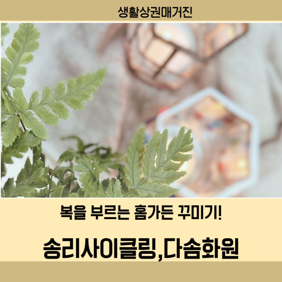 다솜화원 이미지