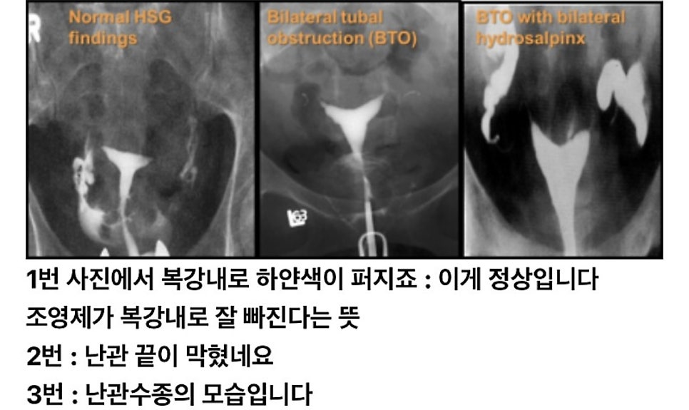 본베베여성의원 이미지