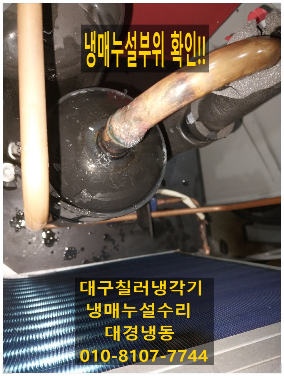 대경냉동 이미지