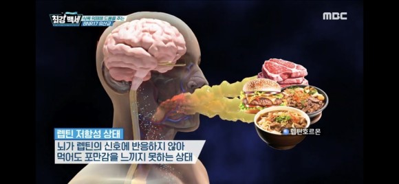 청담피트니스 이미지