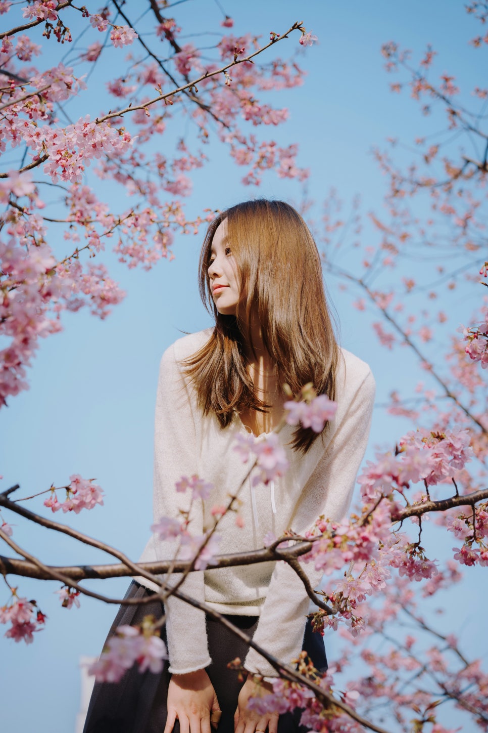 스마트솔루션 이미지