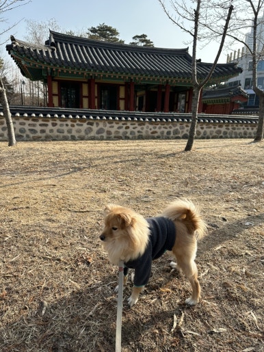 육감만족수원만석공원점 이미지