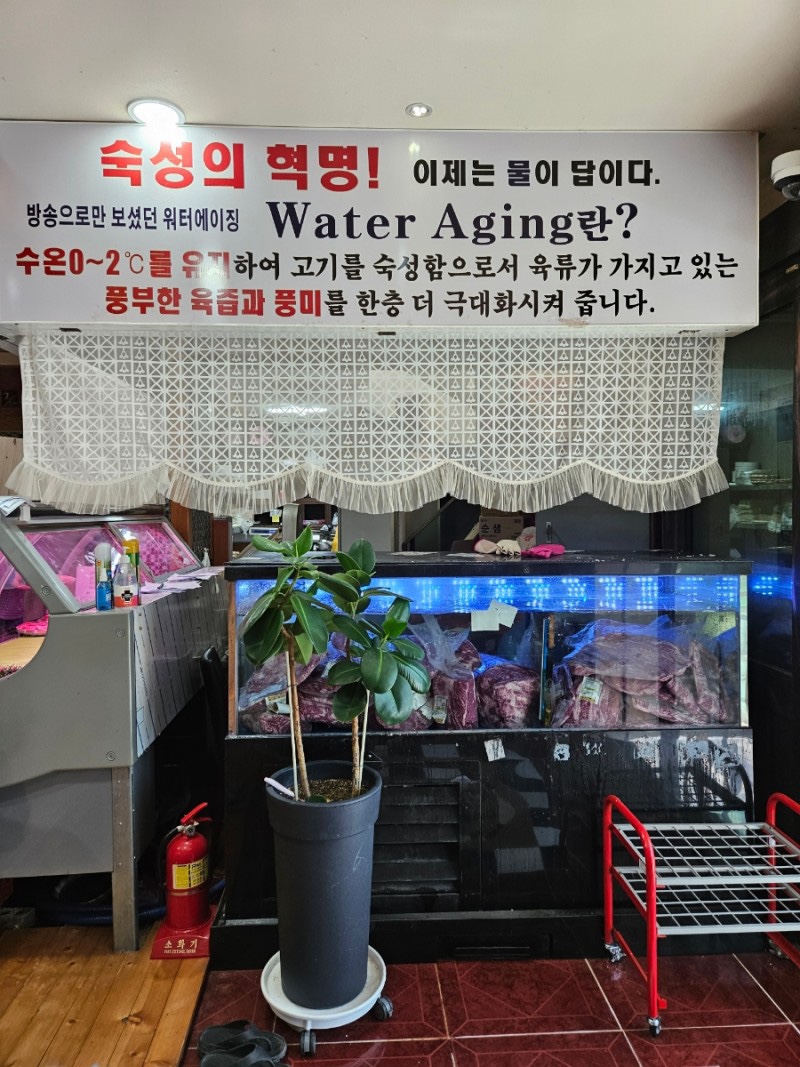 까만돼지 이미지