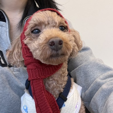 오떡 금촌점 이미지