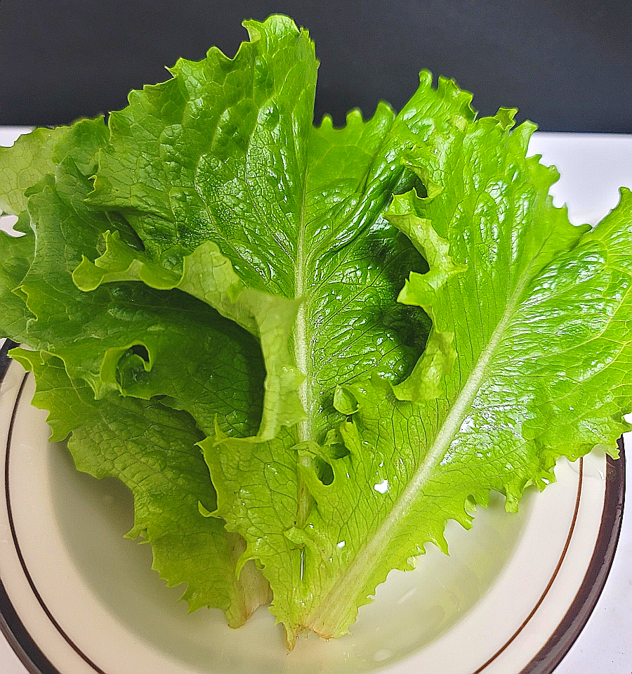 주식회사 참바른 이미지
