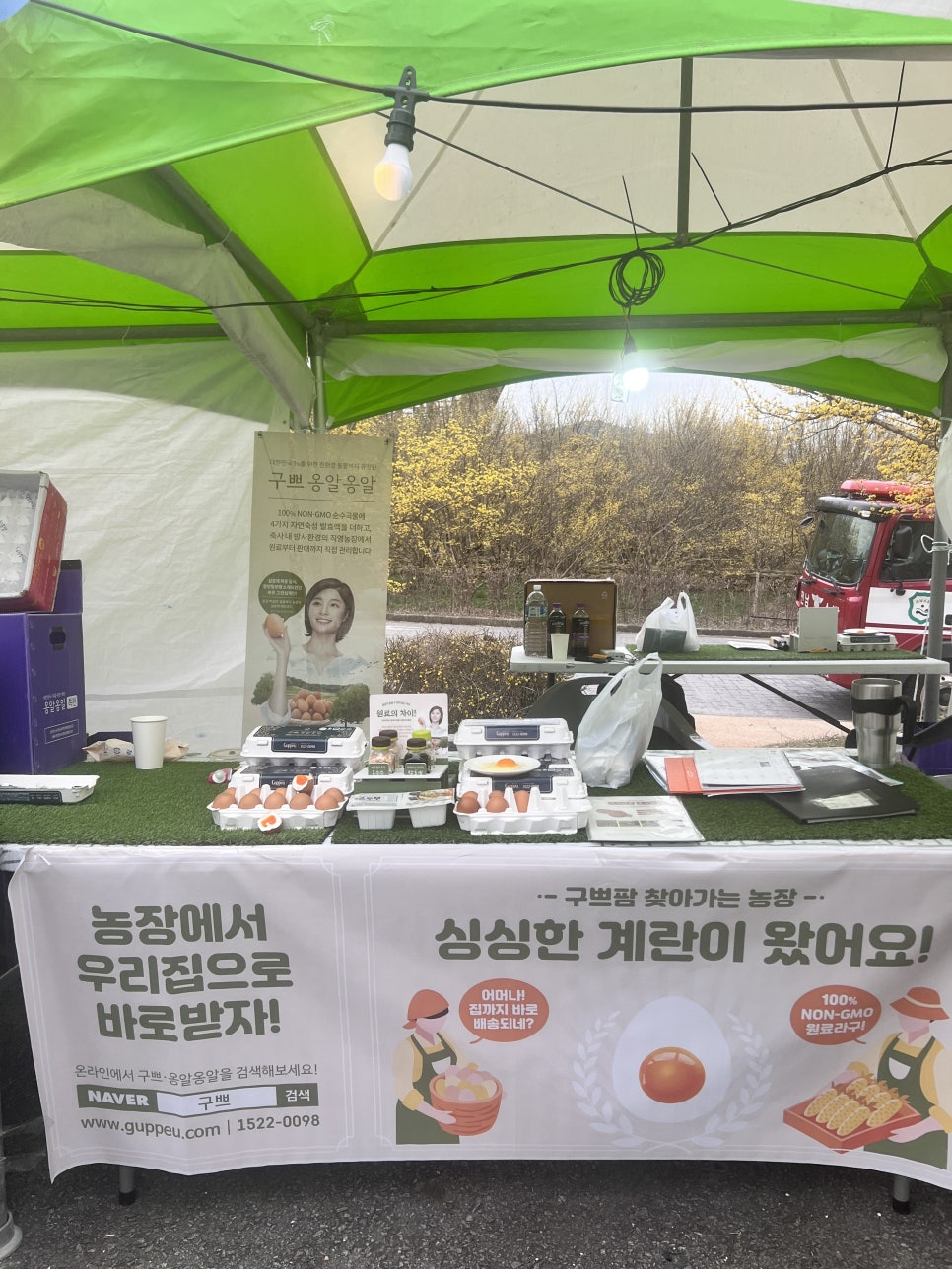 구례로컬푸드협동조합 이미지