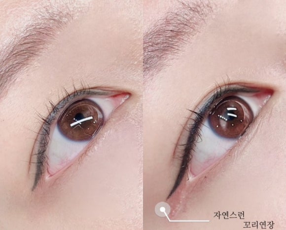 당감꼬리 이미지