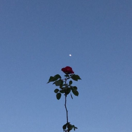 파란섬 이미지
