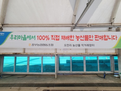 싱싱농산물 이미지