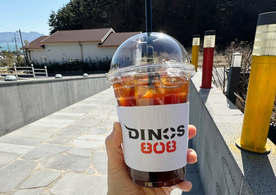 다이노스808 이미지